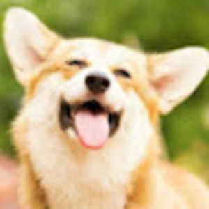 Meet your Posher, Isabel